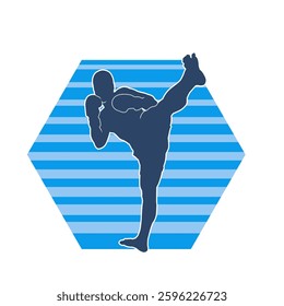 Silhouette of a male doing martial art kick pose. Silhouette of a martial art male doing kicking pose.