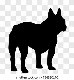 Silhouette of a male French bulldog seen from the back in black on a transparent background.