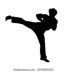 Silhouette of a male model doing martial art kick pose. Silhouette of a martial art kicking pose.
