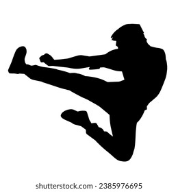 Silhouette of a male model doing martial art kick pose. Silhouette of a martial art kicking pose.