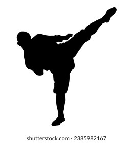 Silhouette of a male model doing martial art kick pose. Silhouette of a martial art kicking pose.