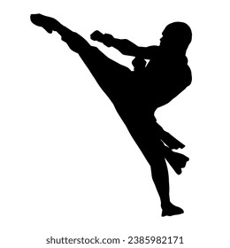 Silhouette of a male model doing martial art kick pose. Silhouette of a martial art kicking pose.