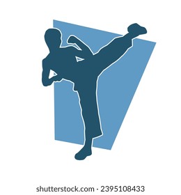 Silhouette of a male model doing martial art kick pose. Silhouette of a martial art kicking pose.
