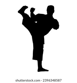 Silhouette of a male model doing martial art kick pose. Silhouette of a martial art kicking pose.