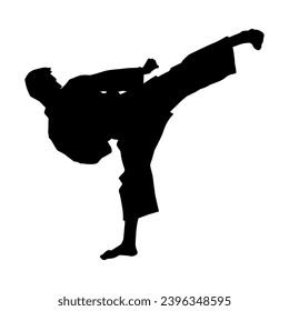 Silhouette of a male model doing martial art kick pose. Silhouette of a martial art kicking pose.