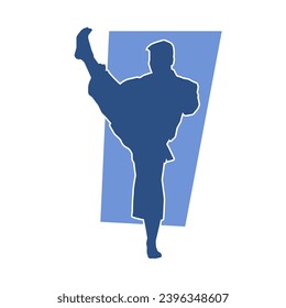 Silhouette of a male model doing martial art kick pose. Silhouette of a martial art kicking pose.