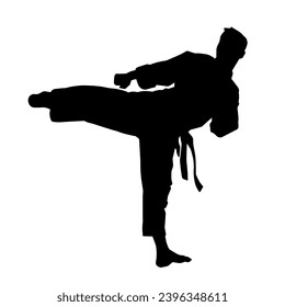 Silhouette of a male model doing martial art kick pose. Silhouette of a martial art kicking pose.