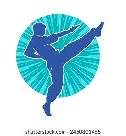 Silhouette of a male model doing martial art kick pose. Silhouette of a martial art kicking pose.