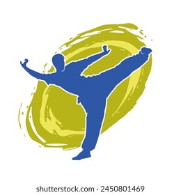 Silhouette of a male model doing martial art kick pose. Silhouette of a martial art kicking pose.