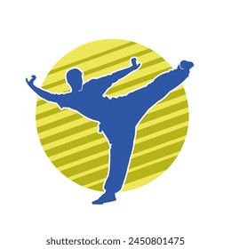 Silhouette of a male model doing martial art kick pose. Silhouette of a martial art kicking pose.