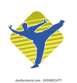 Silhouette of a male model doing martial art kick pose. Silhouette of a martial art kicking pose.