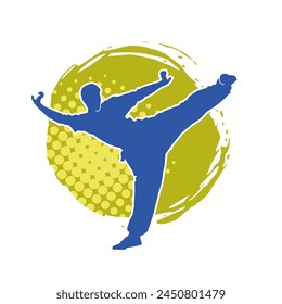 Silhouette of a male model doing martial art kick pose. Silhouette of a martial art kicking pose.