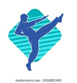 Silhouette of a male model doing martial art kick pose. Silhouette of a martial art kicking pose.