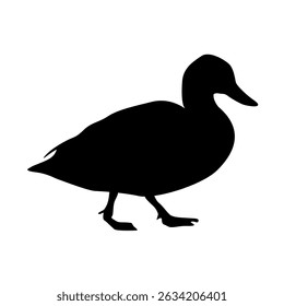 Silhouette of Mallard duck Anas platyrhynchos. Realistic vector illustration of wild birds of Europe, America and North Africa.