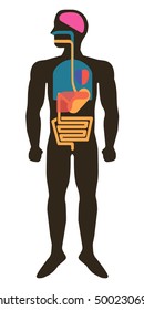 Silhouette of a man with internal organs on white background. Vector illustration.