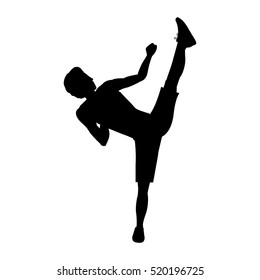 silhouette man martial arts high kick