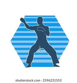 Silhouette of a man in oriental martial art pose. Silhouette of a male in martial art move.