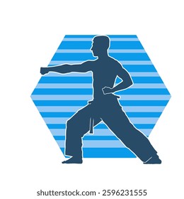 Silhouette of a man in oriental martial art pose. Silhouette of a male in martial art move.