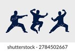 Silhouette of a man performing dynamic kung fu jump and attack poses tiger claw