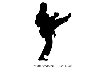 silhouette of man practicing karate combat