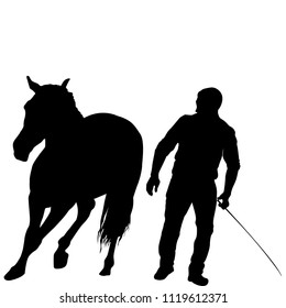 Silhouette of a man training a horse