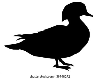 silhouette of mandarin duck