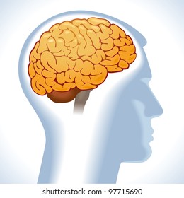 the silhouette of a man's head and volume image of the brain