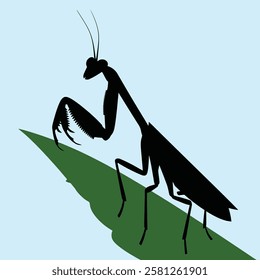 Silhouette mantis animal black color only full body