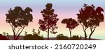 silhouette of many different gum trees with sunset background