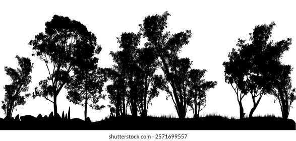 silhouette of many different gum trees Australian gum trees