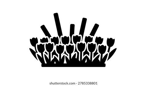 Silhouette of many tulip flowers