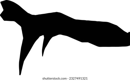 Silhouette map of Ribeira Brava Cape Verde with transparent background.