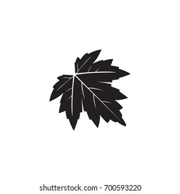 silhouette maple autumn leaf 