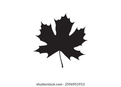Silhouette of maple autumn orange leaf vector illustration on white background.