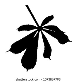 Silhouette of a maple leaf. Spring branch. Isolated Vector Illustration. Transparent background.