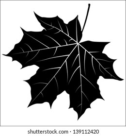 Silhouette Of The Maple Leaf. Vector Illustration