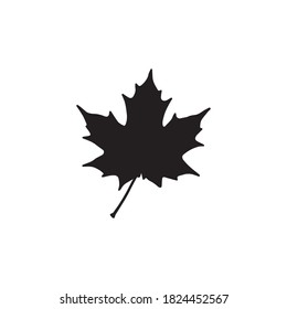 silhouette of a maple leaf. vector illustration