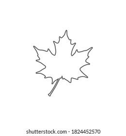 silhouette of a maple leaf. vector illustration