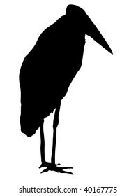 silhouette of marabou