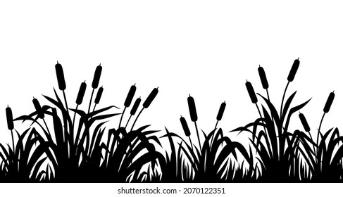 Leche de pantano de silueta  cola  bulrush  hierba  Frontera aislada de plantas pantanosas 