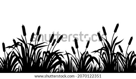 Silhouette marsh reeds, cattail, bulrush, grass. Isolated border of swamp plants. Сток-фото © 