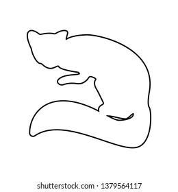 silhouette of marten icon. Element of zoo for mobile concept and web apps icon. Outline, thin line icon for website design and development, app development
