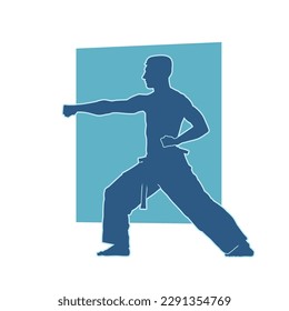 Silhouette of a martial art guy in action pose. Silhouette of a male fighter in fighting pose. 