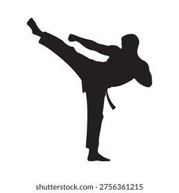 Silhouette of a martial artist executing a dynamic roundhouse kick
