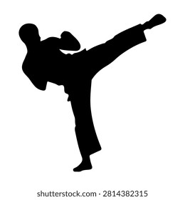 Silhouette of martial artist executing a high kick, showcasing strength, flexibility, and discipline in a dynamic pose.