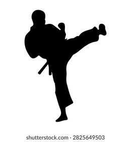 Silhouette of martial artist executing a high kick, showcasing strength, agility, and discipline in a dynamic pose against a plain background.