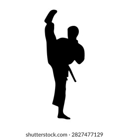 Silhouette of martial artist executing a high kick, demonstrating agility and strength in a dynamic pose against a plain background.