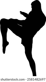 Silhouette of a martial artist executing a powerful kick.