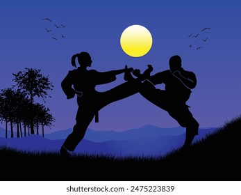 silueta, siluetas de artes marciales, Clipart de taekwondo y vista nocturna