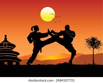 silueta, siluetas de artes marciales, Clipart de taekwondo y vista nocturna